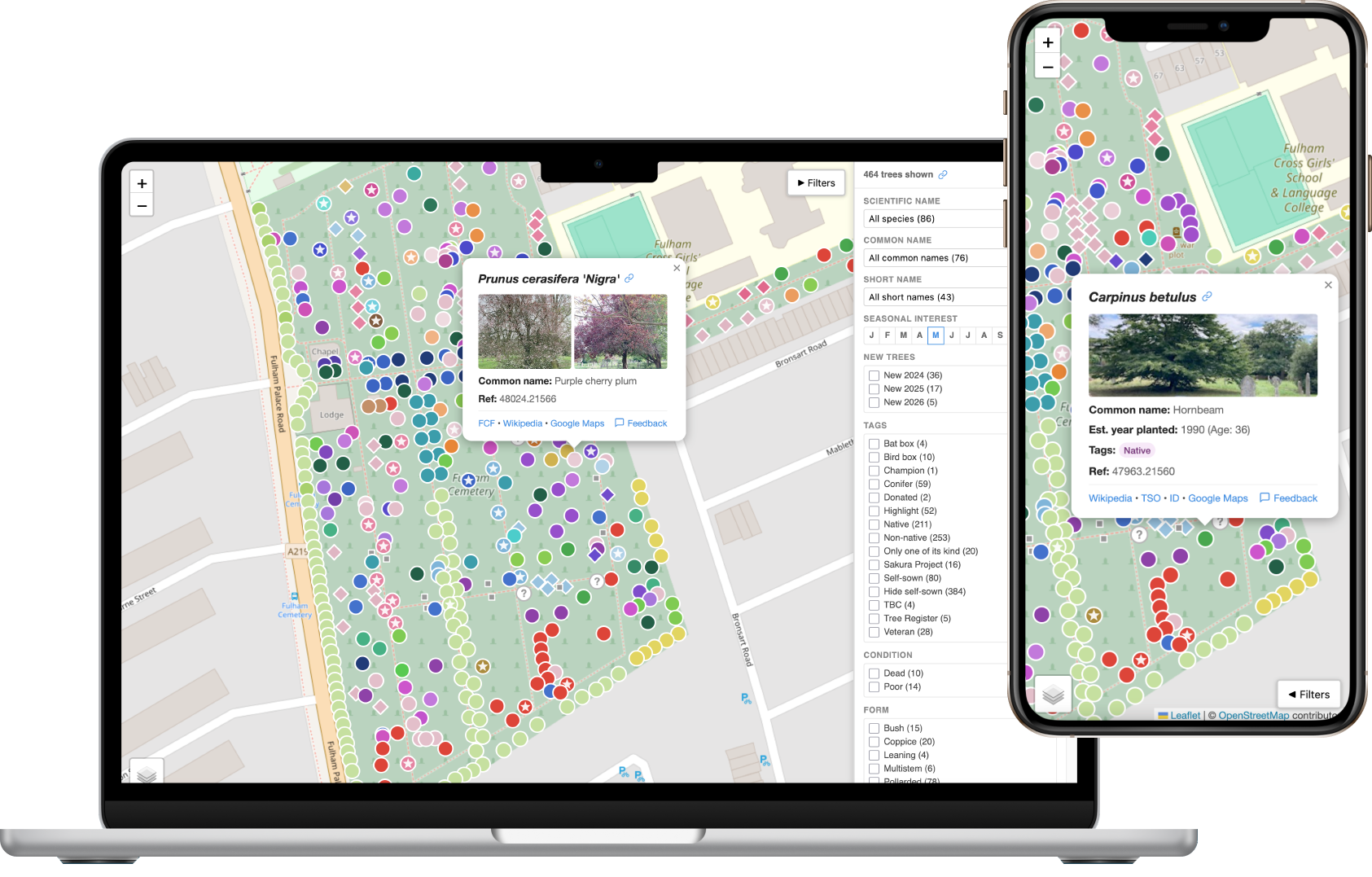 Park-treemap shown on a laptop and a mobile phone